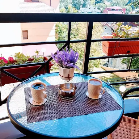 Temida Lux Apartment *