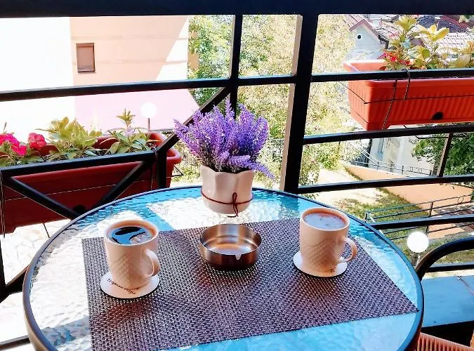 Temida Lux 아파트 *