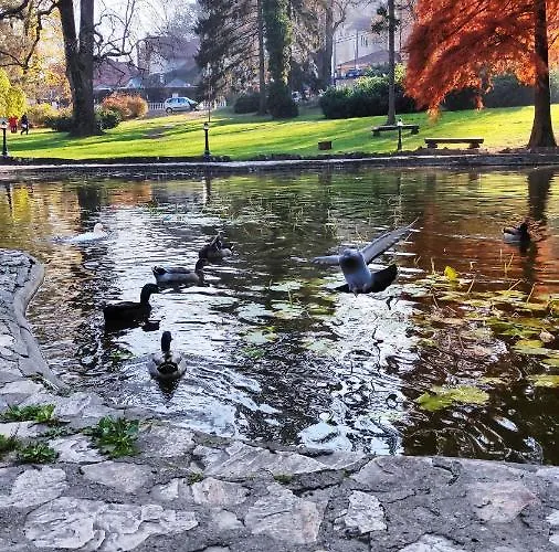 Temida Lux 아파트