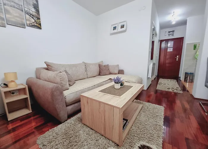 Temida Lux 아파트 *